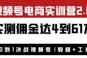 视频电商实训营20》：实际收入高达4-61万元，附教程和工具