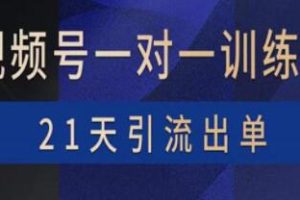 21天视频号训练营：四大变现路径助力直播带货、粉丝增长及游戏互动
