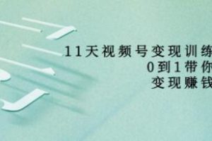 好望角《11天视频号变现训练营》助您打造从0到1的盈利系统