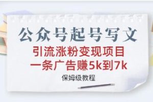 公众号运营和文章创作实现引流、增加粉丝及实现盈利策略的项目