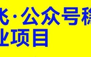 实现稳定副业收入：公众号运营课程，在一个月内赚取超过2万元