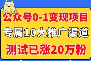 从零到一：5个公众号实现变现策略与10大推广途径，粉丝突破20万！
