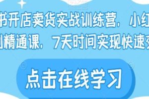 从入门到精通：小红书实战训练营，掌握在小红书开店卖货的技巧