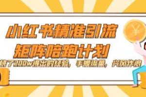 《通过花费200万元的小红书精准引流与矩阵陪跑计划所获得的经验》