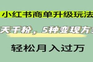 小红书商家单项提升策略：5天获得千粉，5种盈利途径