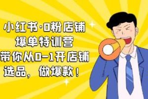 从零到一：小红书0粉丝店铺成功秘籍与热销商品打造课程