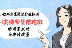 《小红书商家爆款创造特训》第14期：助商家摆脱付费流量，成为盈利的小红书博主