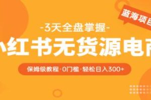 《小红书无货源电商》全方位教程：实现从0到日入300的保姆级指南