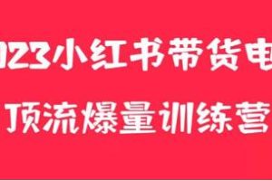 小红书电商销售策略实战班：打造月入3W+的独家养生花茶系列产品，可复制的成功模式