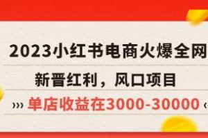 米杰《小红书电商项目》带你从零基础走向精英，实战教学，单店收益轻松突破3000-30000元