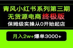 小红书零货源电商爆单终极指南：保姆级实操教程，从0开始店铺迅速爆单