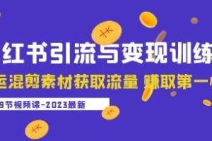 盗坤的《小红书引流与变现训练营》：通过混剪素材获取流量，轻松赚取首桶金