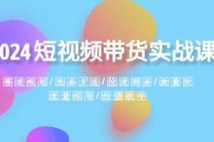 短视频电商运营实战指南：赛道策略、商品挑选、流量测试和推广规划