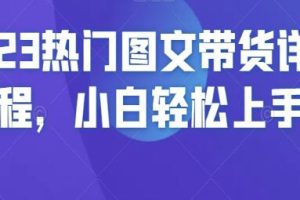 从零开始：轻松掌握的热门图文带货详细指南