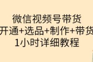 陈奶爸亲授视频号带货教：从开通到选品到制作到带货