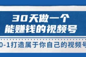 30天实现从无到有：打造专属于你的盈利视频号