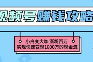 小白如何成为大咖，涨粉百万，实现快速变现。