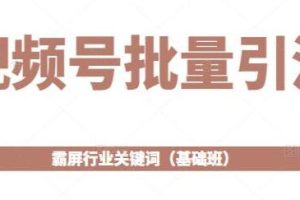 视频平台大规模吸引流量：行业关键词策略(入门级教程)