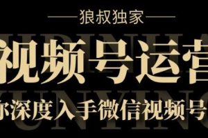 深度解析微信视频号运营实战8.0:掌握微信视频号的运营技巧