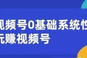 微信视频号运营指南：从零基础到变现，掌握内容、引流和快速盈利策略