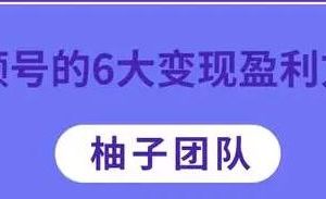 微信视频号的6大盈利模式：深度知识干货分享