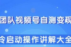 视频号自我变现策略：冷启动阶段的操作指南与详解