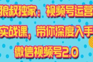 微信视频号运营20:最新独家实战策略，高效粉丝吸引与经济收益实现
