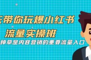 5天全面指南：掌握小红书种草营销，引爆流量与实操技巧