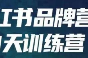 小红书品牌60天训练营第6期：揭秘内容营销的核心原理