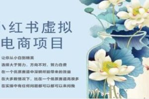 小红书：从零开始的虚拟电商之旅——让你从新手成长为专家