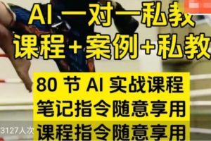AI指令实战课，课程+案例，80节AI实战课程