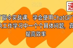 《实际操作指南：使用ChatGPT解决工作与学习中的详细问题》