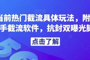 【第5865期】快手截流怎么做：解析快手热门截流具体玩法，附赠全新快手截流软件【揭秘】