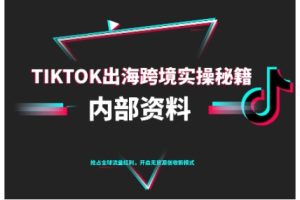 【第9651期】TikTok跨境电商0-1搭建运营，TK出海跨境实操秘籍
