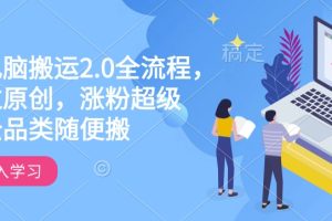 【第9007期】快手电脑搬运2.0全流程，轻松过原创，涨粉超级猛全品类随便搬