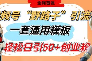 【第9329期】视频号“野路子”玩法，评论区疯狂截流，一套模板单日单号引流50+创业粉