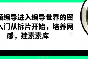 【第9593期】短视频编导进入编导世界的密钥,入门从拆片开始,培养网感,建素素库