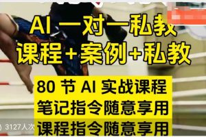 【第9588期】AI指令实战课，课程+案例，80节AI实战课程，笔记指令随意享用，课程指令随意享用（更新7月）