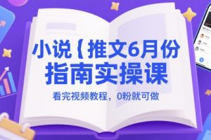 【第9493期】小说推文6月份指南实操课,看完视频教程,0粉就可做