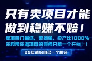 【第9469期】只有卖项目才能做到稳挣不赔，门槛低，更简单，你也可以年入百个W【揭秘】