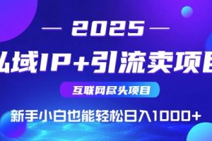 【第9405期】私域IP+卖项目，普通人小白也能轻松实现日入1000+