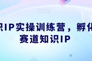 【第5915期】知识ip训练营教程：知识IP实操训练营，​孵化多赛道知识IP