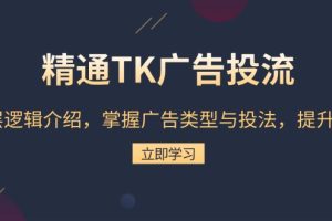 【第8731期】精通TK广告投流：底层逻辑介绍，掌握广告类型与投法，提升效果