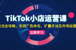 【第8499期】TikTok小店运营课：投流技法全攻略，包括广告命名 扩量手法及市场运营方法