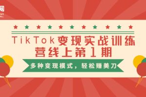 【1909期】TikTok变现实战训练营线上第1期，多种变现模式，轻松赚美刀