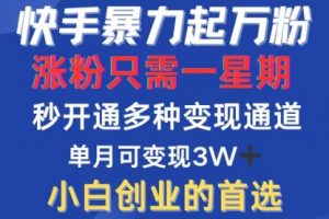 【第8328期】快手暴力起万粉，涨粉只需一星期，多种变现模式，直接秒开万合