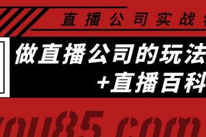 【副业3761】直播公司如何运营：直播公司实战，做直播公司玩法大全+直播百科全书