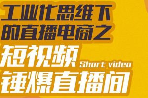 【副业3399期】企业直播间如何打造：直播电商之短视频锤爆直播间，听话照做执行爆单