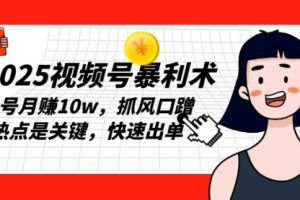 【第8795期】2025视频号暴利术，单号月赚10w，抓风口蹭热点是关键