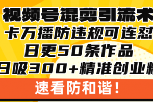 【第8646期】视频号混剪引流技术，500万播放引流17000创业粉，操作简单当天学会